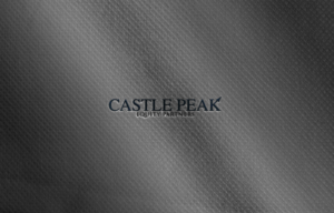 Logo Design by Top king  designer for this project | Design: #13233556