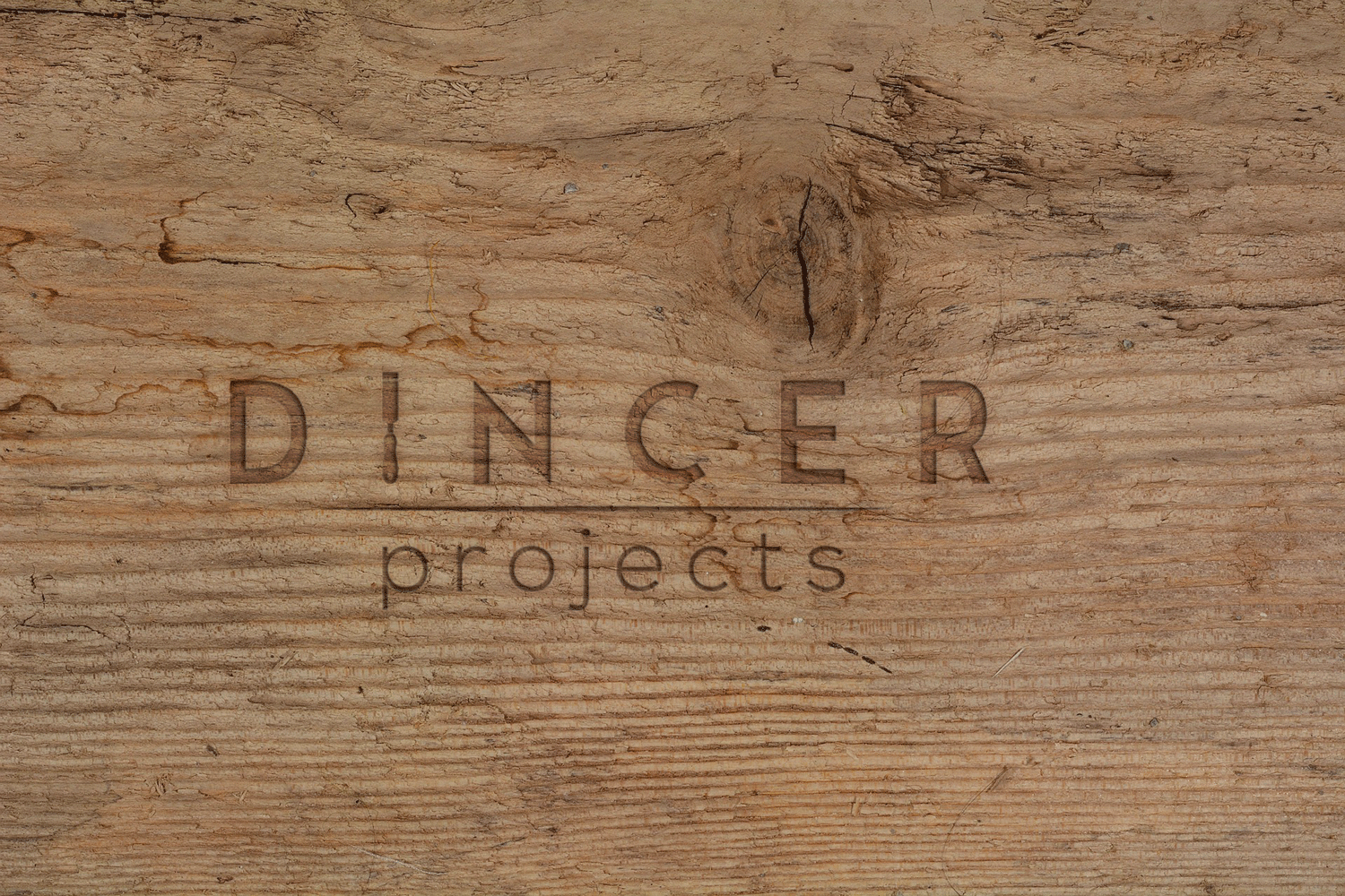 Logo Design by Aron. A for DINCER Projects | Design #13225619