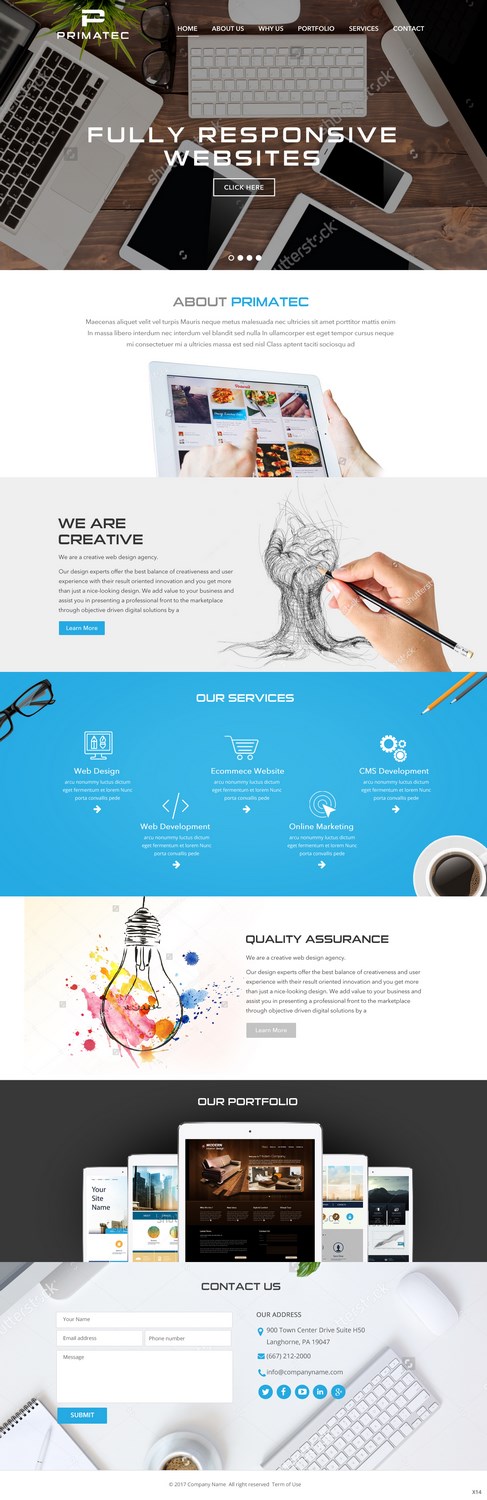 Web Design by pb for PrimaTec LTD. | Design #13340885