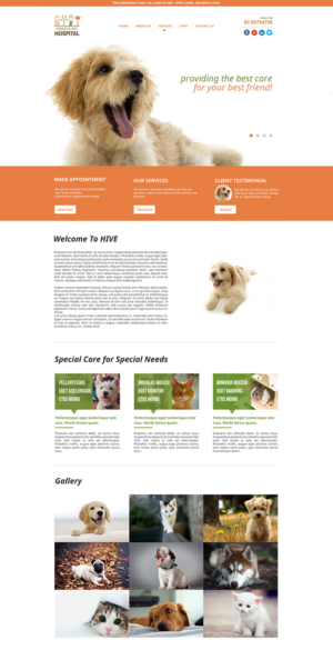Homepage design competition to choose a designer for $1500 full website for a Small Animal Veterinar | Web Design par Omee