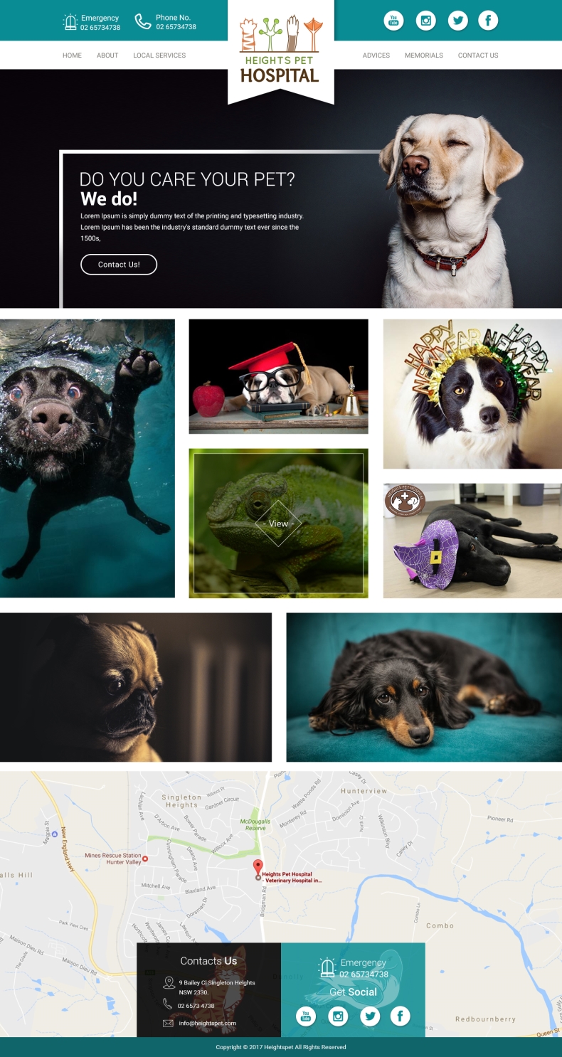 Web Design by TechWise for Heights Pet Hospital | Design #13388386