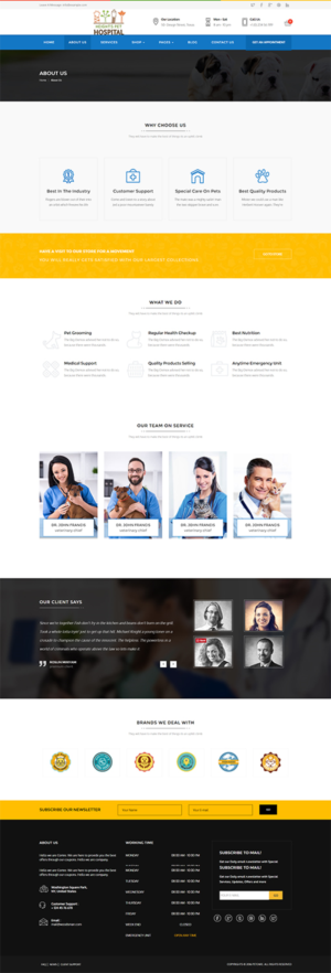 Web Design by bazickoff