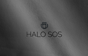 Logo Design by Top king  designer for this project | Design: #13258861