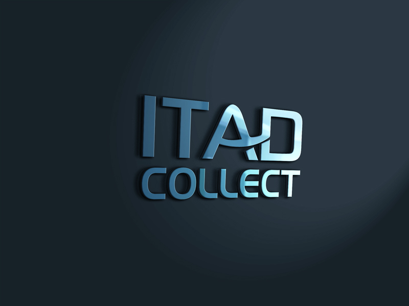 Logo Design by Top king  designer for Nighthawk Software Ltd | Design #13268924