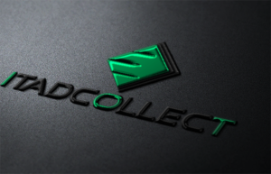 Logo Design by tani_sha321 for Nighthawk Software Ltd | Design: #13269366