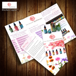 grocery store brochure design samples 1000 s of grocery store
