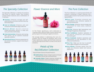 Design de Brochure par ImageNation pour The Flower Apothecary | Design : #13409208