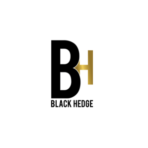 Logo Design by Alpha pix