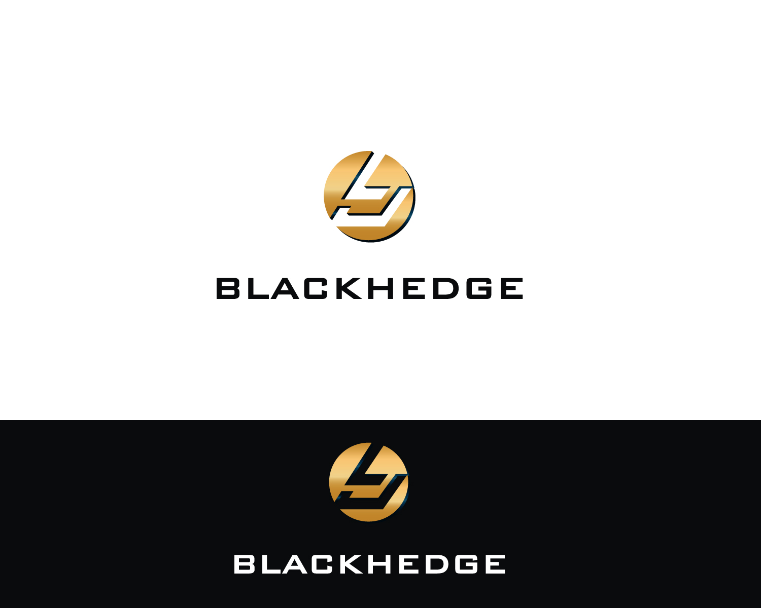 Diseño de Logo por Atec para BlackHedge | Diseño #13369937