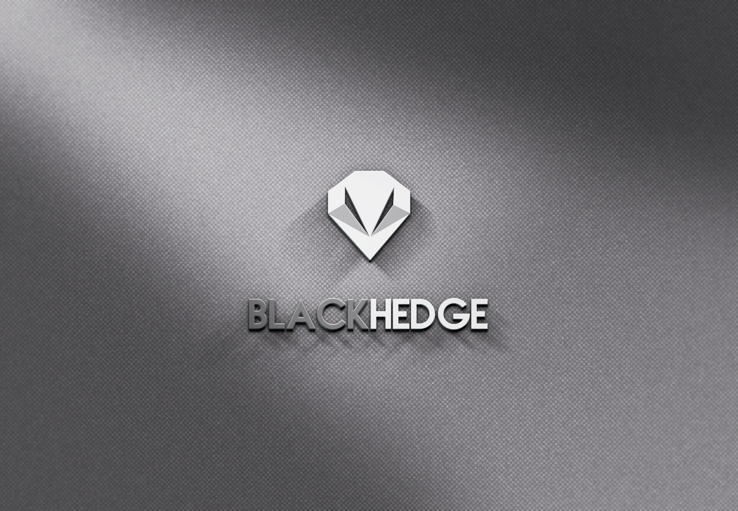 Logo Design by A.STUDIO for BlackHedge | Design #13461227