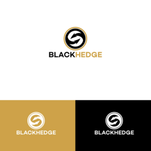 Logo Design by DesignDUO for BlackHedge | Design: #13466311