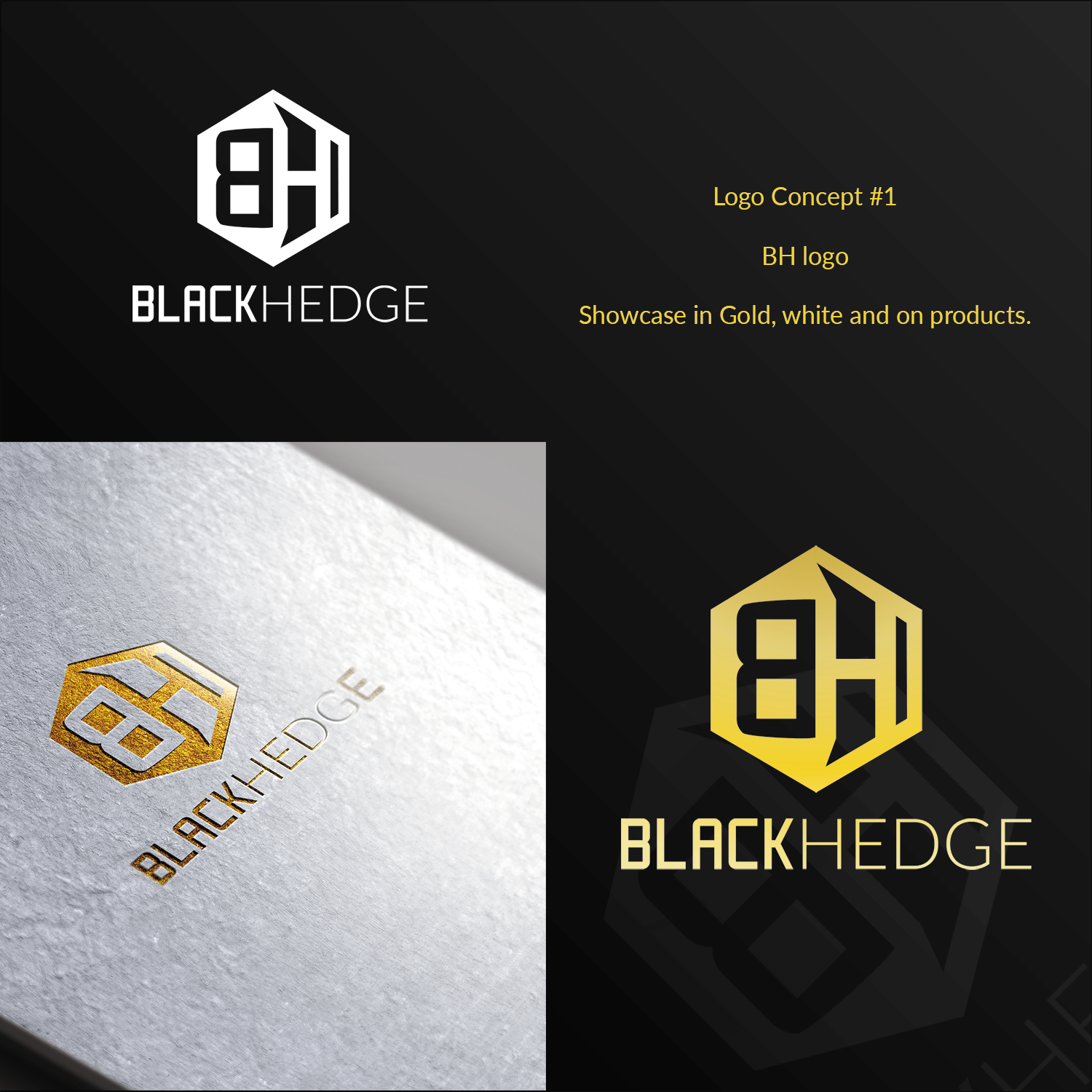 Logo Design by DynamicDesigns for BlackHedge | Design #13461573