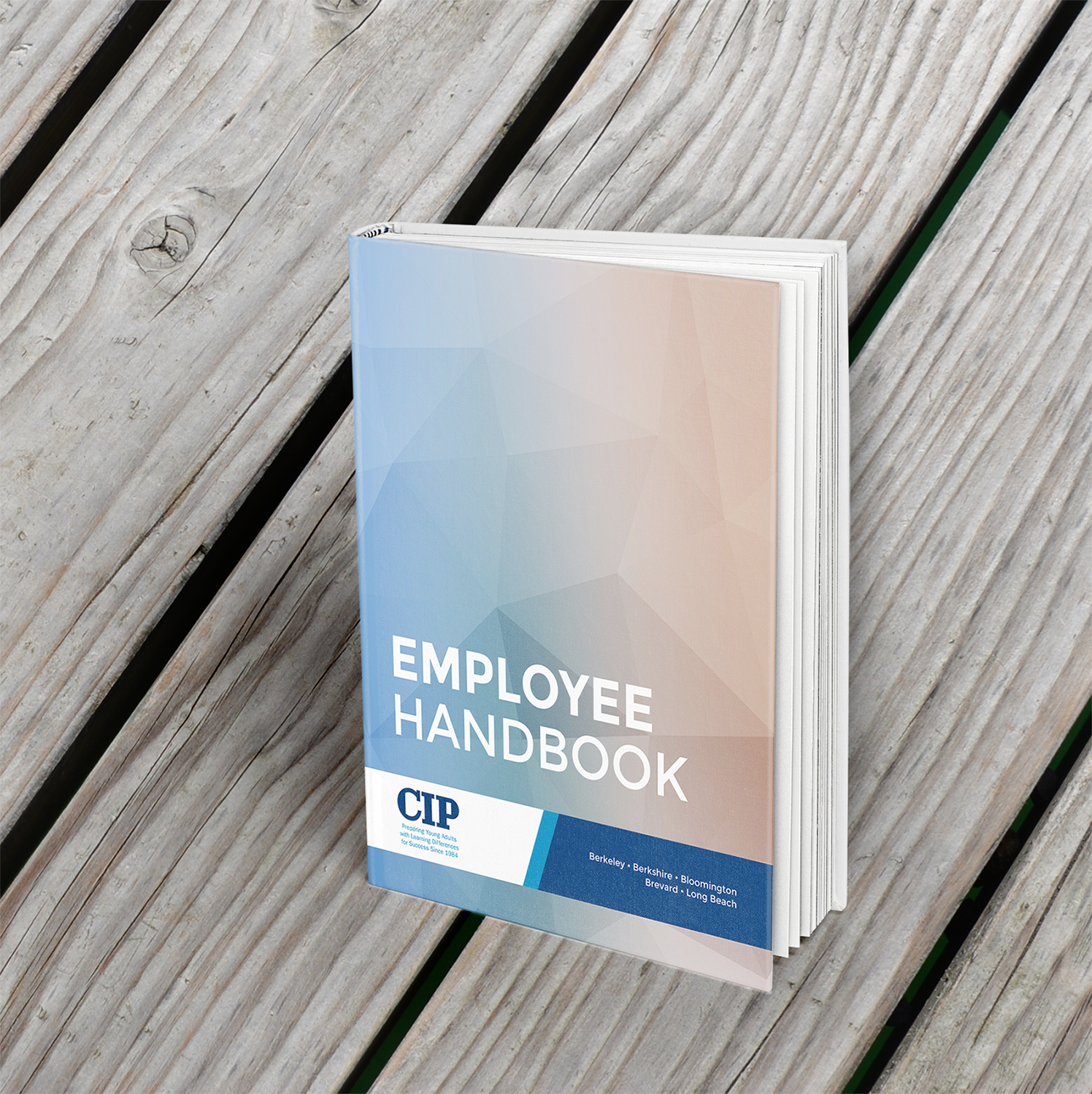 Diseño de portada de libro por barinix para College Internship Program (CIP) | Diseño #13289253