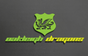 Logo Design by Mehedi Hasan ™ for this project | Design: #13255287