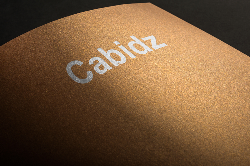 Logo Design by logout babu for this project | Design #13253453