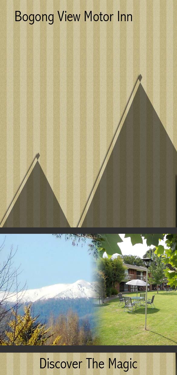 Diseño de Brochure por Obed Rosenzweig para este proyecto | Diseño #535039