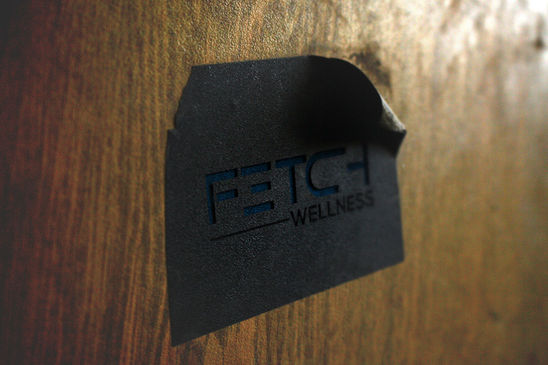Logo Design by armanmajumder1 for Fetch Wellness | Design #13279511