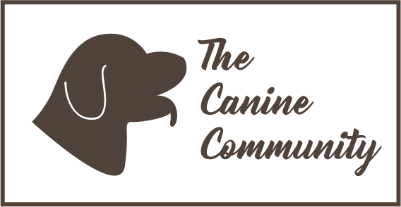 Logo Design by Vikram Krishna for this project | Design #13287998