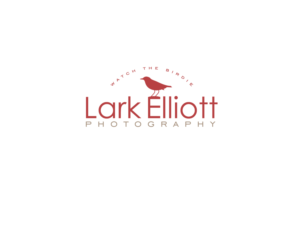 Logo Design by designDRUGSTORE for this project | Design: #13272744