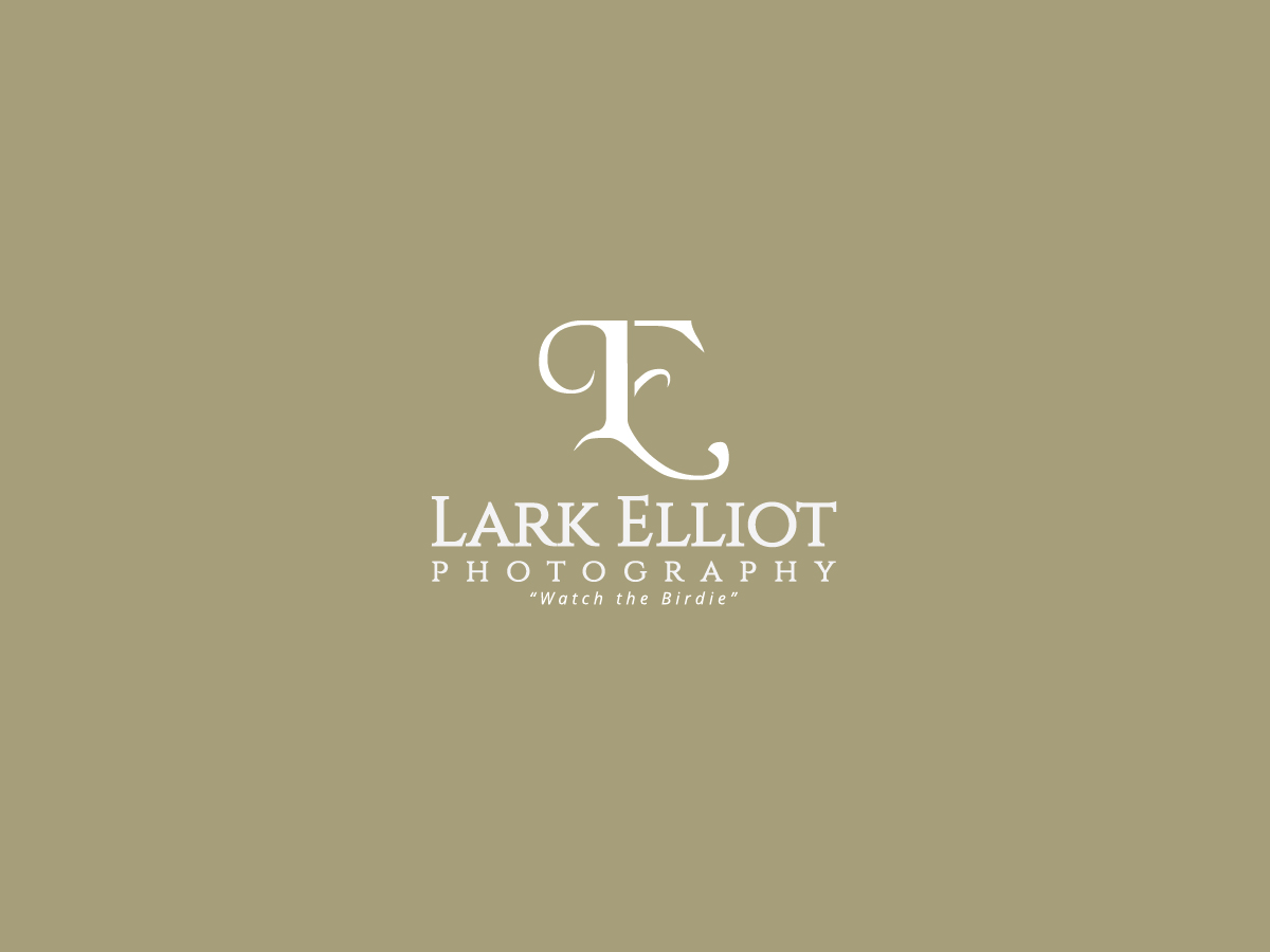 Diseño de Logo por mail.pavanayi para este proyecto | Diseño #13263414