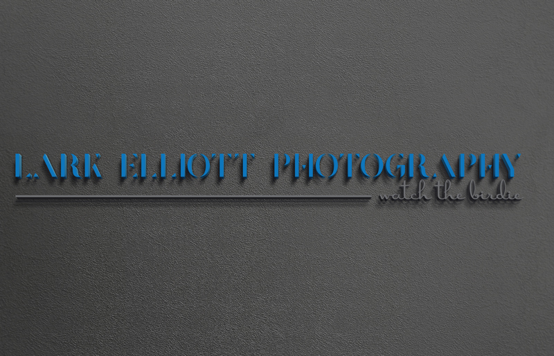 Logo Design by Mehedi Hasan ™ for this project | Design #13265154