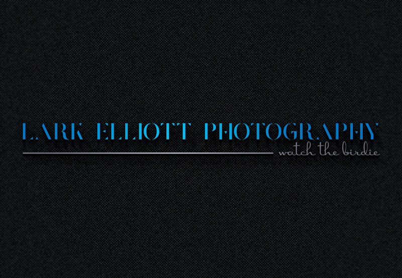 Logo Design by Mehedi Hasan ™ for this project | Design #13265156