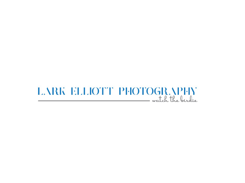 Logo Design by Mehedi Hasan ™ for this project | Design #13265160