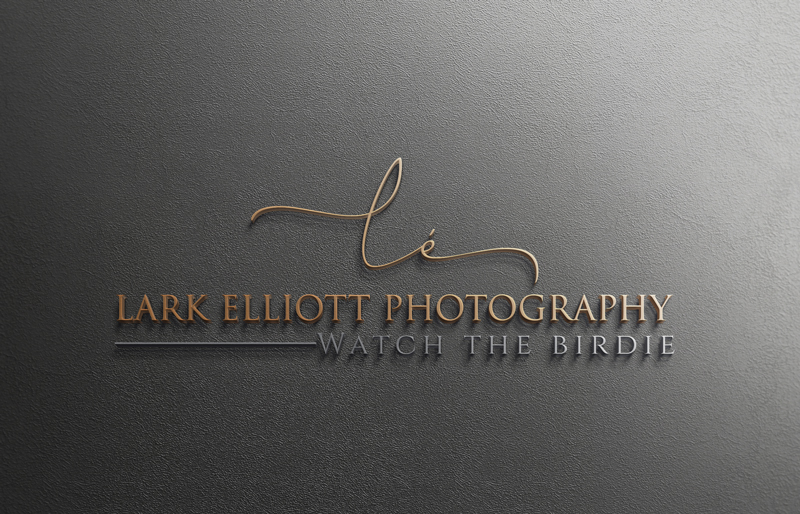 Diseño de Logo por asman para este proyecto | Diseño #13264978