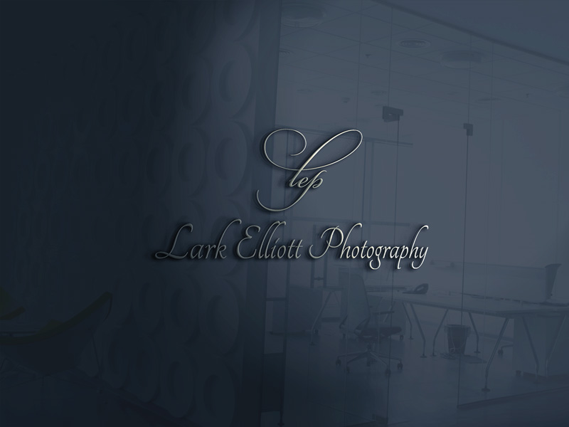 Logo Design by Top king  designer for this project | Design #13265645