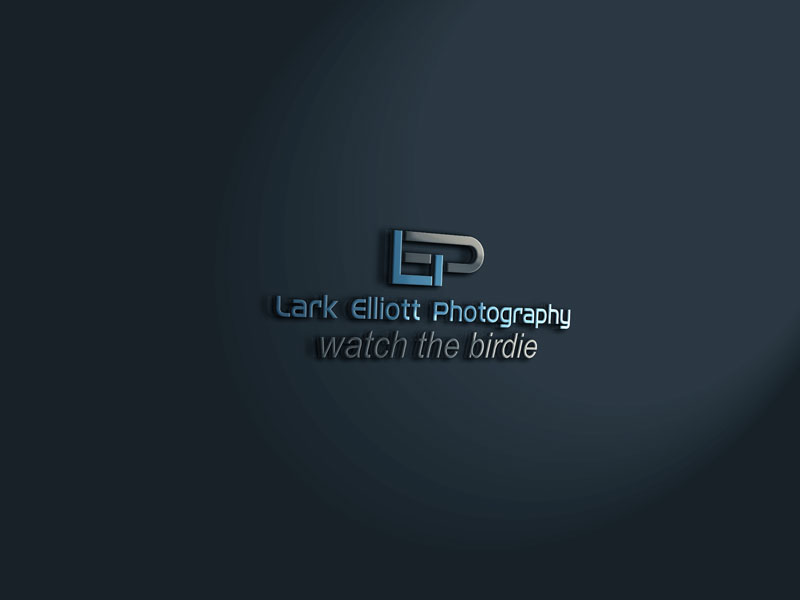 Logo Design by Jon cristian for this project | Design #13265014