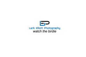 Logo Design by Jon cristian for this project | Design: #13265017