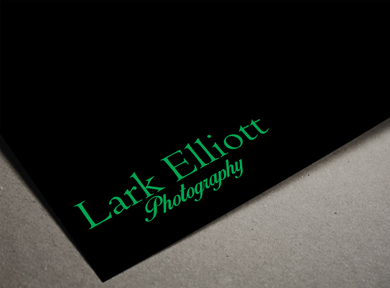 Logo Design by Freddesign for this project | Design #13318520