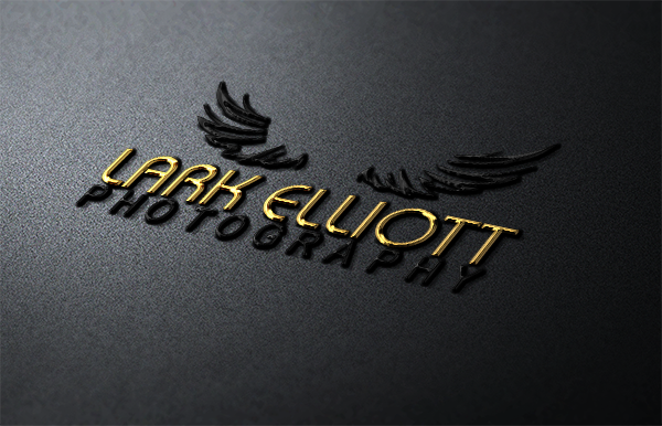 Diseño de Logo por tani_sha321 para este proyecto | Diseño #13264964