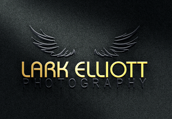 Logo Design by tani_sha321 for this project | Design #13264967