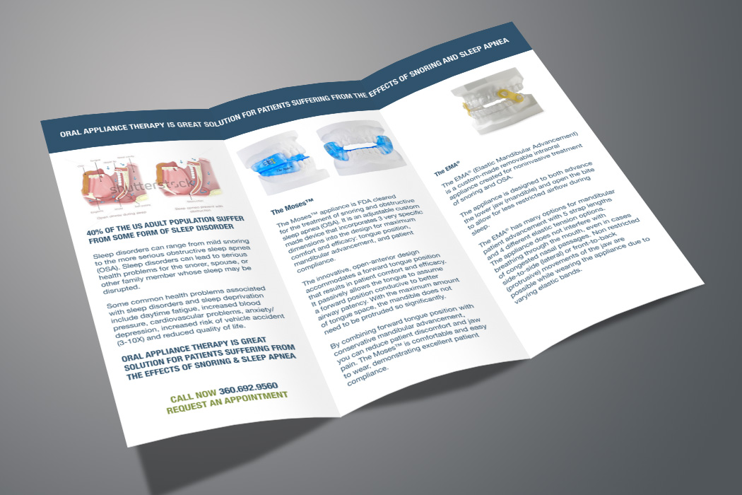 Brochure Design by tanya for this project | Design #2499263