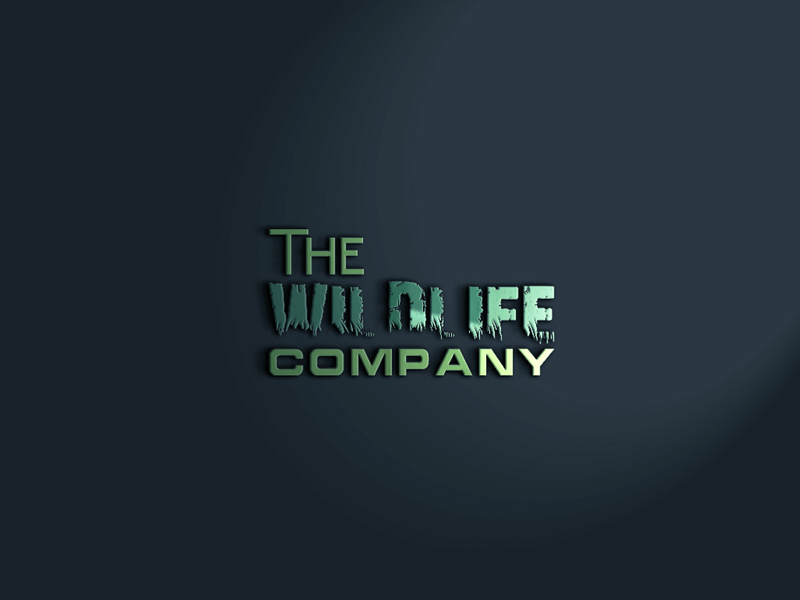 Logo Design by redwanhossain for this project | Design #13272406