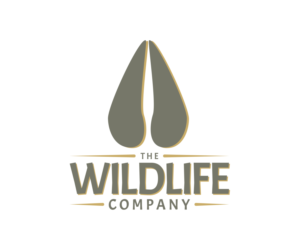 Logo Design by Adam Morris