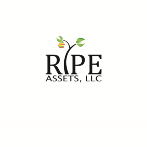 Logo Design by Peek Design Co. for this project | Design: #13318267