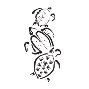 Illustration Design by Foster-illustration for this project | Design: #13337339