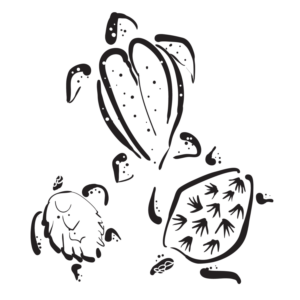 Illustration Design by Foster-illustration for this project | Design: #13337340