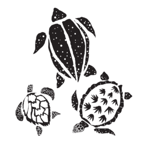 Illustration Design by Foster-illustration for this project | Design: #13337341
