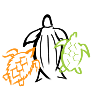Non-profit sea turtle programme needs simple turtle design | Illustration Design by smiledim24