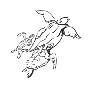 Illustration Design by nail5657