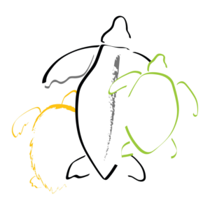 Non-profit sea turtle programme needs simple turtle design | Illustration Design by alice