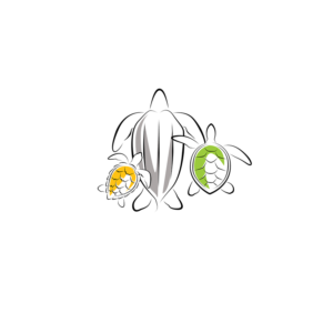 Non-profit sea turtle programme needs simple turtle design | Illustration Design by icirotrisna
