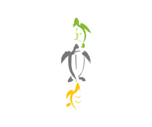 Illustration Design by rum for this project | Design: #13350108