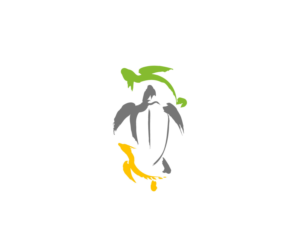 Non-profit sea turtle programme needs simple turtle design | Illustration Design by rum
