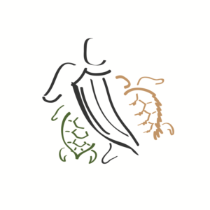 Illustration Design by banedsgn for this project | Design: #13310153