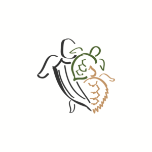 Non-profit sea turtle programme needs simple turtle design | Illustration Design by banedsgn