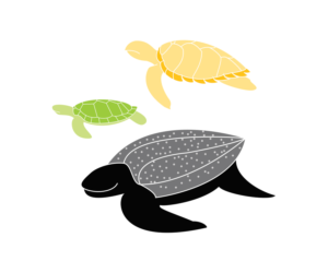 Illustration Design by gh. for this project | Design: #13362027